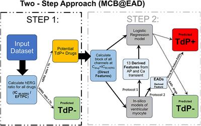 Novel Two-Step Classifier for Torsades de Pointes Risk Stratification from Direct Features